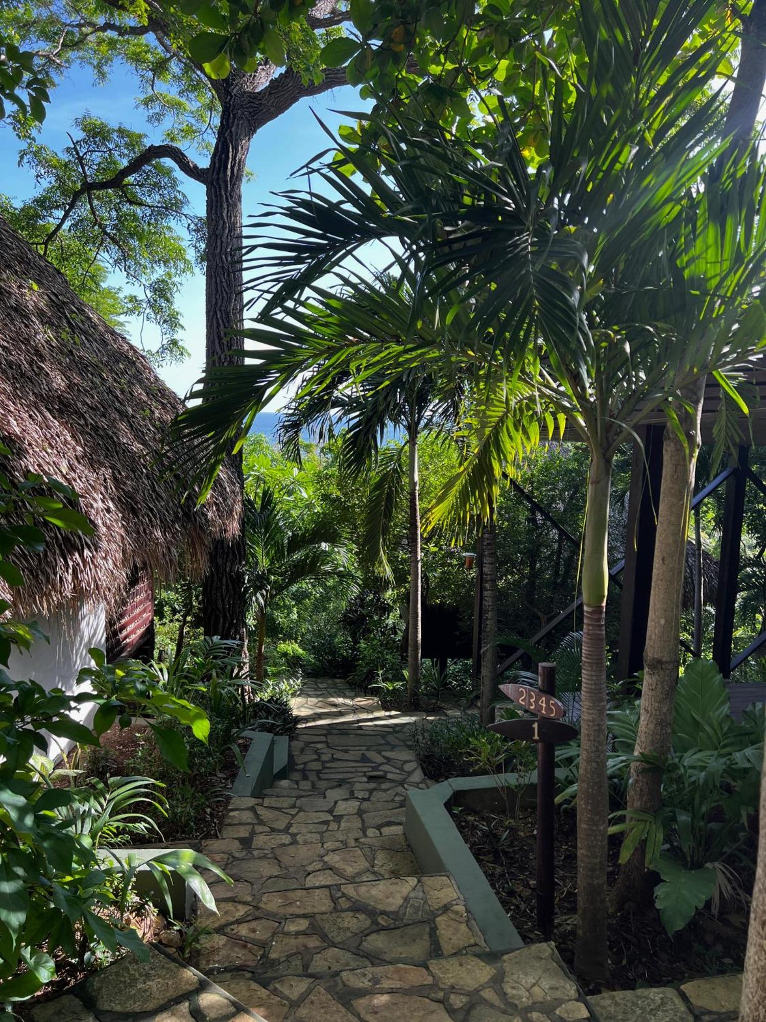 Buena Vista Surf Club Hotel El Plantel Exterior photo